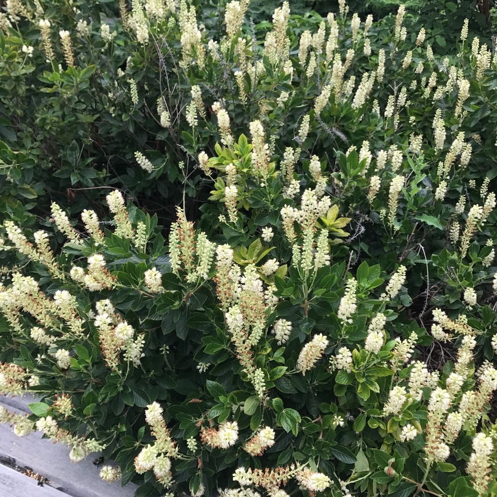 Meet your Posher, Changing